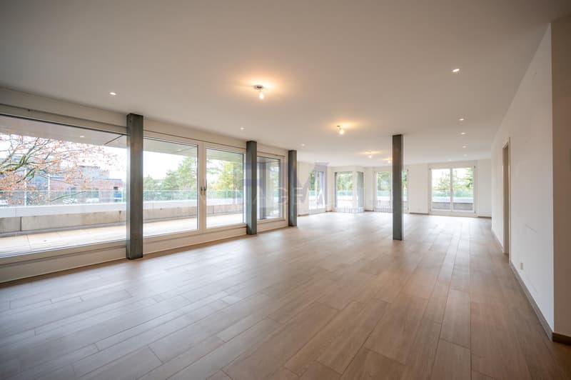 Florissant - Malagnou - Ch. de la Florence 7 pcs, au 5ème étage , env. 285m2 + terrasse (9)