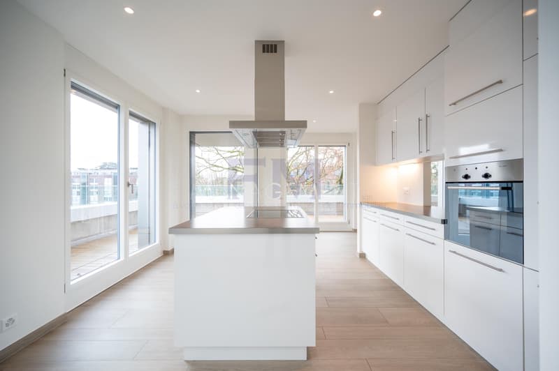 Florissant - Malagnou - Ch. de la Florence 7 pcs, au 5ème étage , env. 285m2 + terrasse (4)