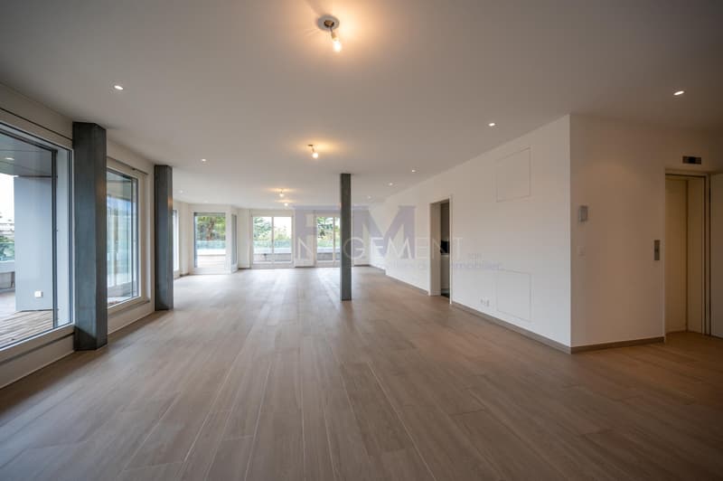 Florissant - Malagnou - Ch. de la Florence 7 pcs, au 5ème étage , env. 285m2 + terrasse (5)