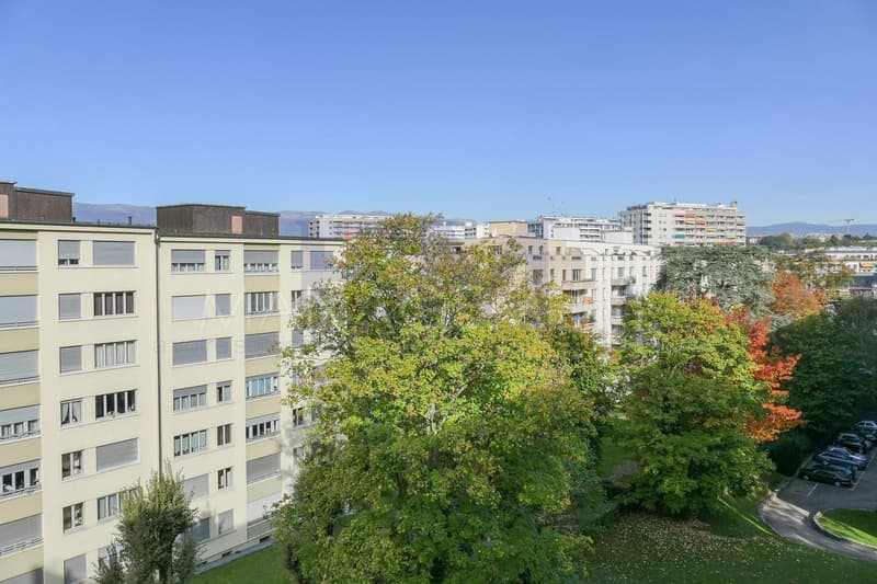 Servette - Avenue Wendt - 4 pièces d'env. 66 m² au 6ème étage (1)