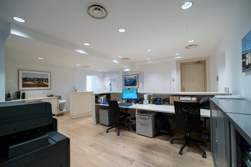 Rive droite, Bureaux , 7 rue des Alpes, 1er étage (8)