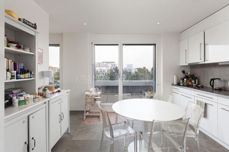Florissant/Malagnou Chemin du Velours, 5 pièces au 6ème étage, env 210m2 + terrasses et loggia (4)