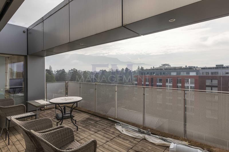 Florissant/Malagnou Chemin du Velours, 5 pièces au 6ème étage, env 210m2 + terrasses et loggia (8)