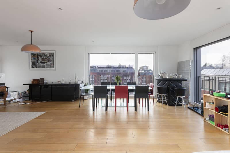 Florissant/Malagnou Chemin du Velours, 5 pièces au 6ème étage, env 210m2 + terrasses et loggia (2)