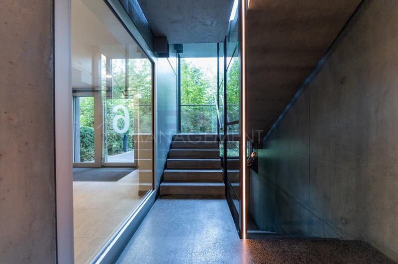 Florissant/Malagnou Chemin du Velours, 5 pièces au 6ème étage, env 210m2 + terrasses et loggia (9)