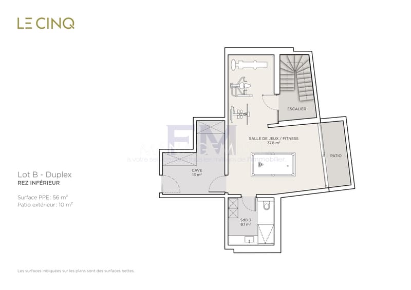 Pregny-Chambésy ? Appartement en duplex de 5 pièces avec rez inférieur habitable, grandes terrasses et jardin traversant (8)