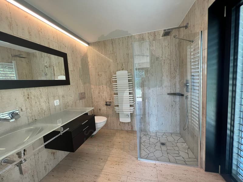 Magnifique maison d'architecte de 300m2 sur une parcelle de 2'333m2 (11)