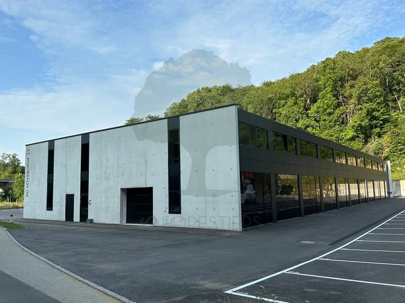 Espaces artisanaux modulables à Porrentruy - De 22m² à 527m² au sol (3)