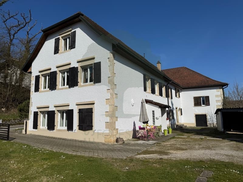 Immeuble locatif à Porrentruy (2)