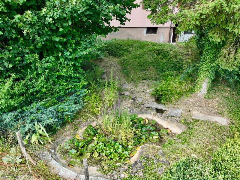 Villa avec jardin de rêve à Montignez (5)
