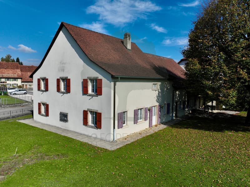 Maison de caractère avec grange aménageable à Alle (2)