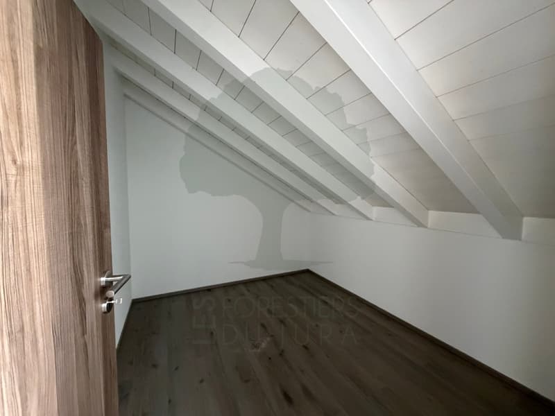 Magnifique appartement de 4.5 pièces Minergie avec terrasse (13)