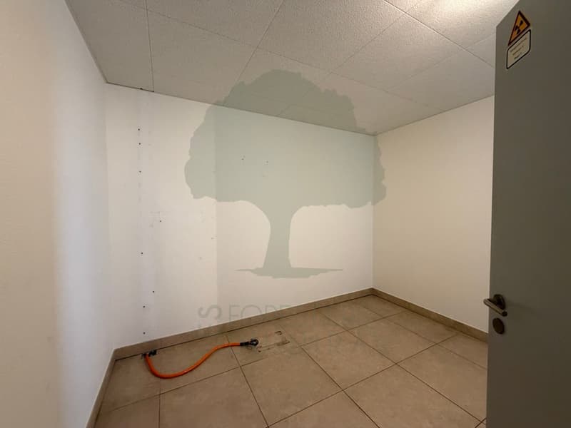 Cabinet médical de 176 m² au rez-de-chaussée - Courfaivre (13)