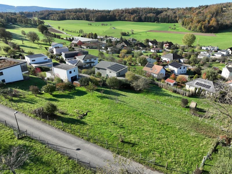 À vendre - magnifiques parcelles à bâtir dès 580 m² à Coeuve (3)