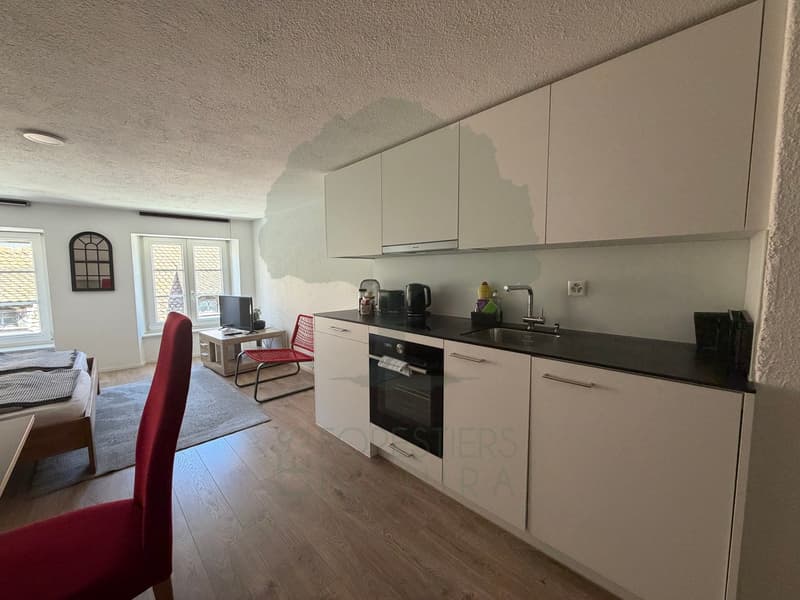 Appartement 1.5 Pieces meuble en plein centre ville de Porrentruy (2)