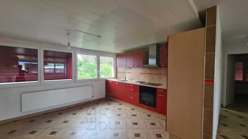 Maison familiale de deux appartements de 3,5 pièces et trois garages (4)