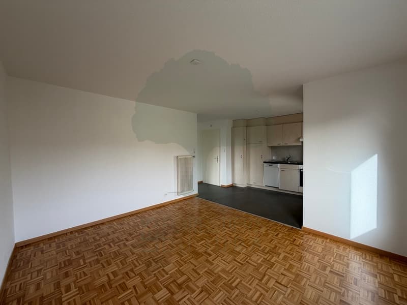 Appartement 2.5 pièces