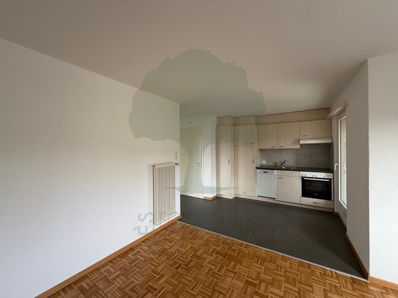 Appartement 2.5 pièces