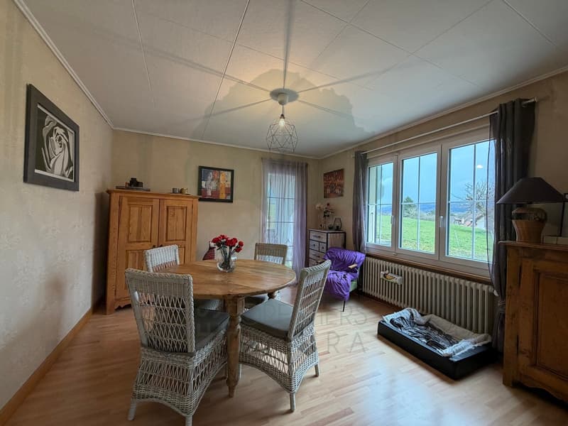 Belle maison familiale de 146 m² sur une parcelle de 818m2 à Alle (9)
