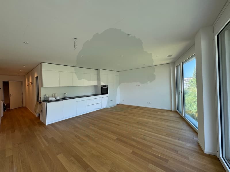 Superbe appartement de 3,5 pièces dans la Résidence de la Sorne (1)