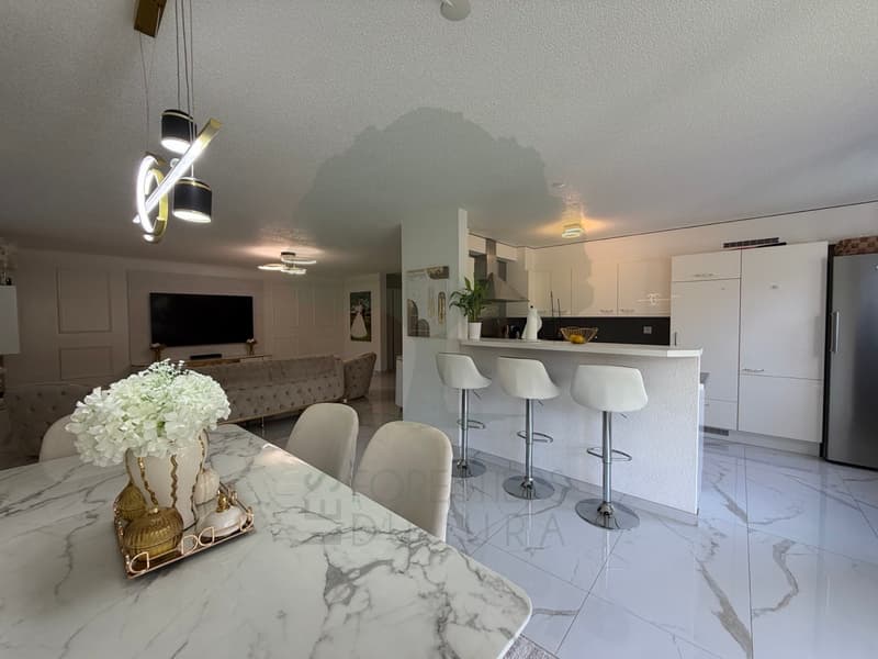Magnifique appartement rénové de 5,5 pièces avec terrasse et vue (11)