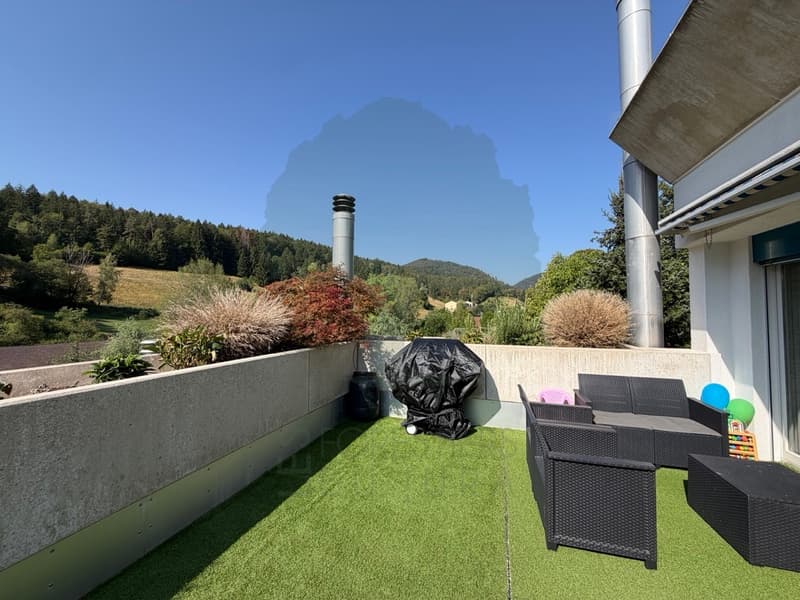 Magnifique appartement rénové de 5,5 pièces avec terrasse et vue (3)