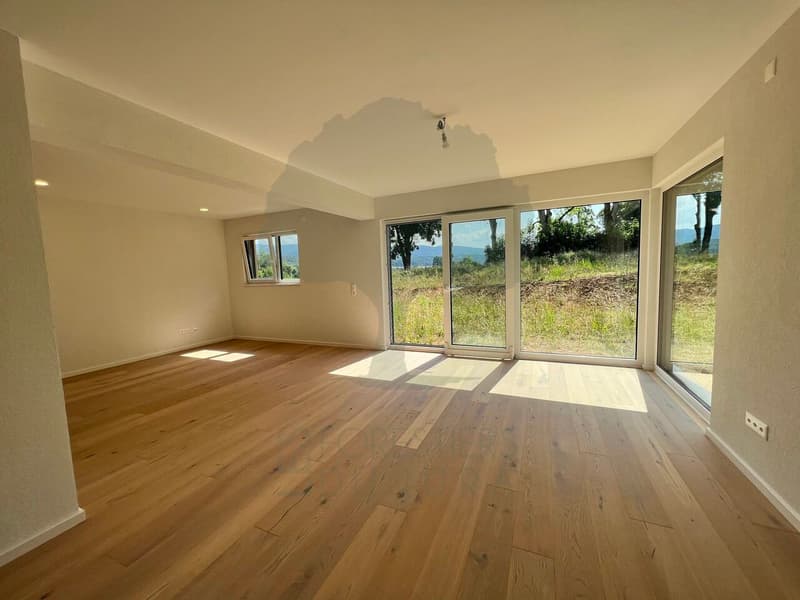 Charmante maison familiale de 4,5 pièces avec beaux volumes (8)