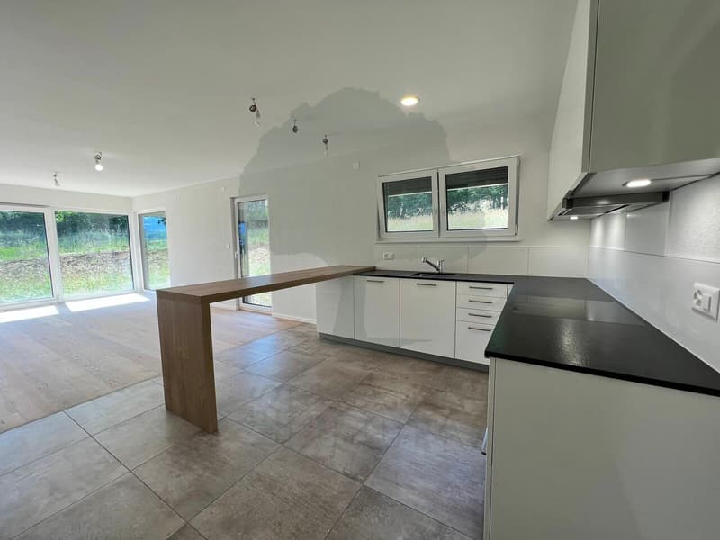 Charmante maison familiale de 4,5 pièces avec beaux volumes (4)