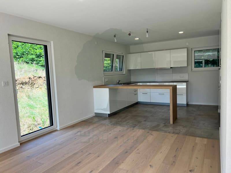 Charmante maison familiale de 4,5 pièces avec beaux volumes (3)