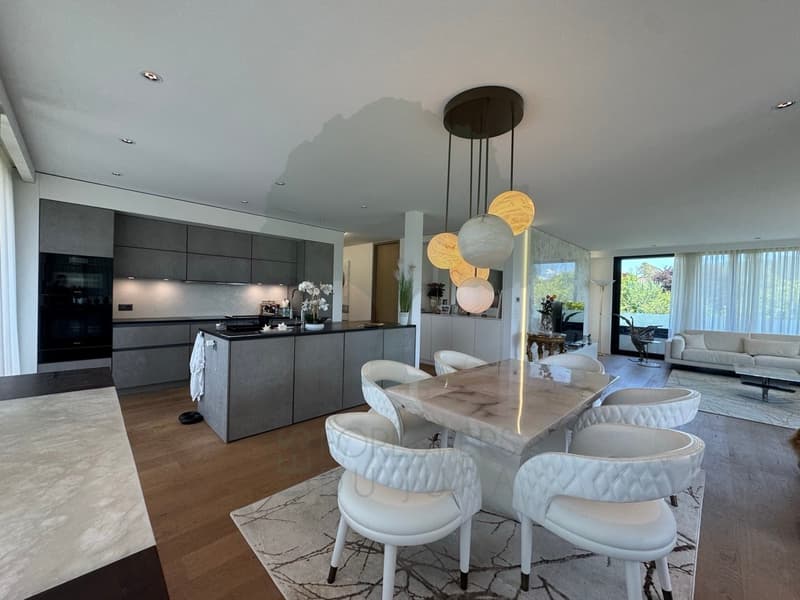 Superbe appartement 5.5 pièces de 170 m² avec terrasse de 62 m² (12)