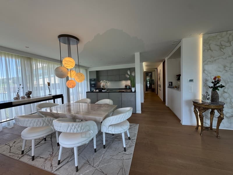 Superbe appartement 5.5 pièces de 170 m² avec terrasse de 62 m² (11)