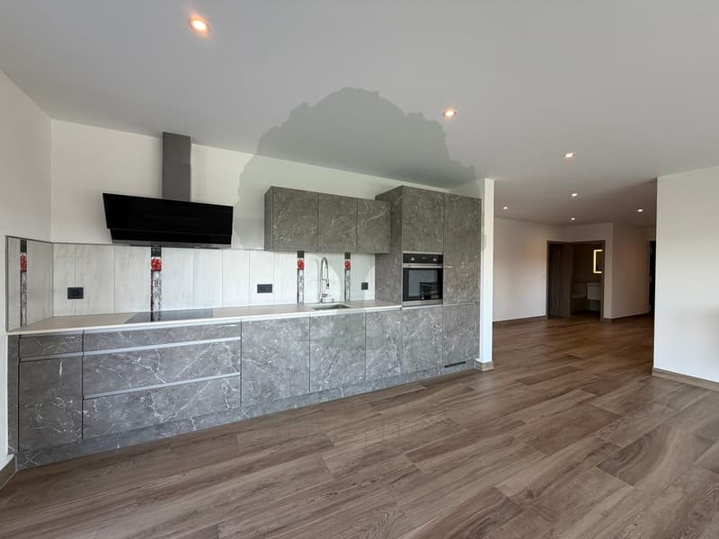 Magnifique appartement de standing de 4,5 pièces avec terrasse, jardin (2)