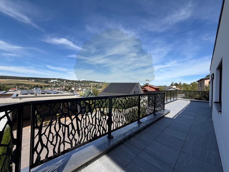 Magnifique appartement de standing de 4,5 pièces avec terrasse, jardin (9)