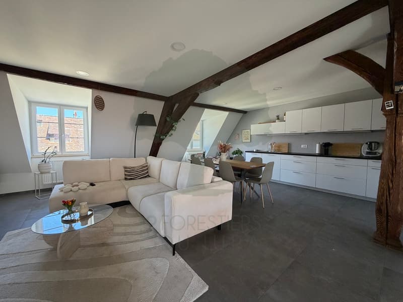 Appartement 2,5 pièces rénové avec terrasse au coeur de Porrentruy (1)