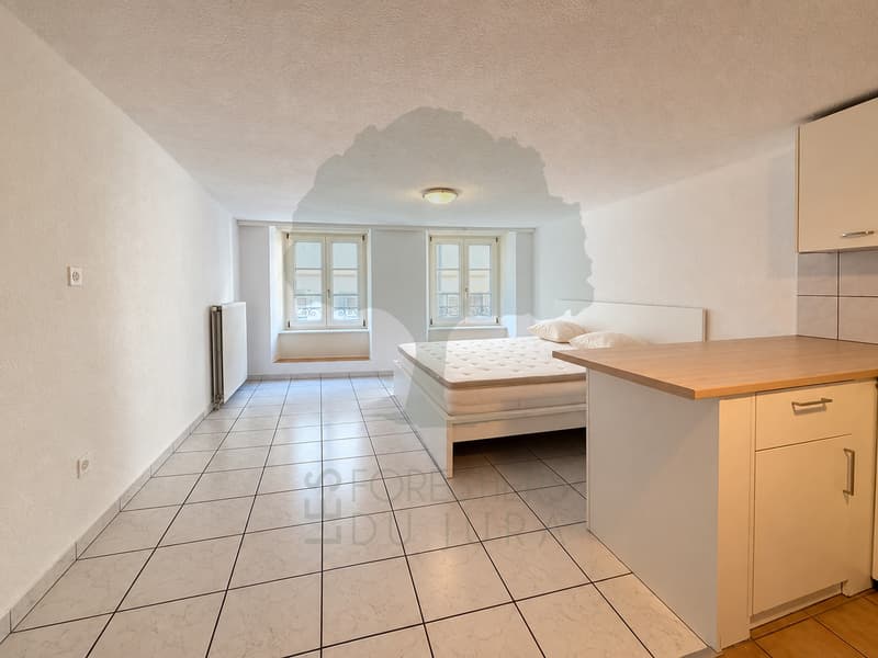 Appartement de 1.5 Pieces meublé en plein centre ville de Porrentruy (3)