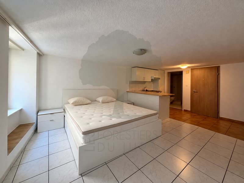 Appartement de 1.5 Pieces meublé en plein centre ville de Porrentruy (2)