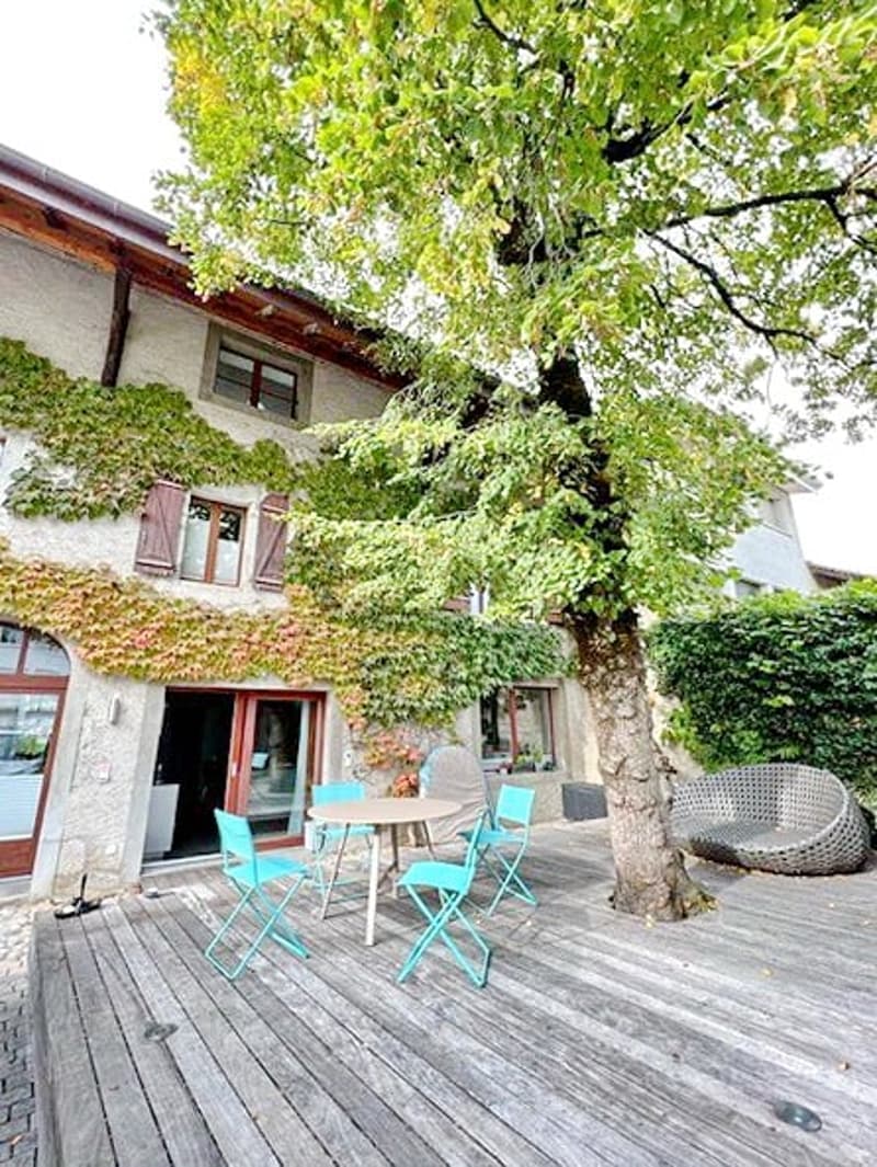 Tree, wooden deck, blue chairs, table, house entrance