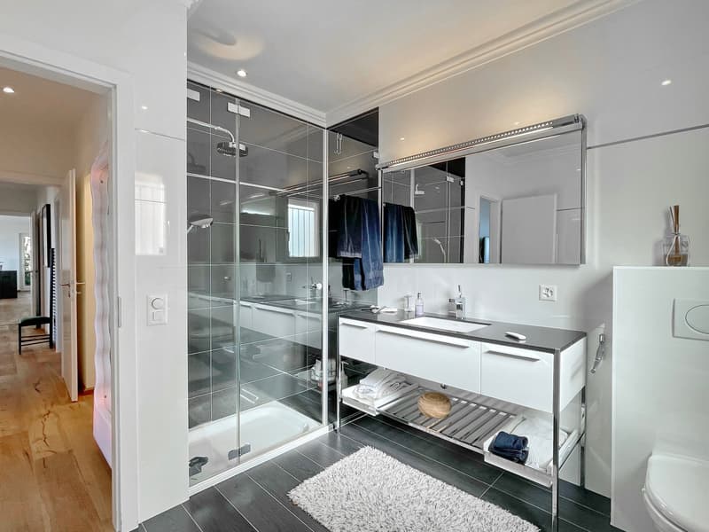 La Croix-sur-Lutry Magnifique appartement en terrasse avec piscine privée (12)