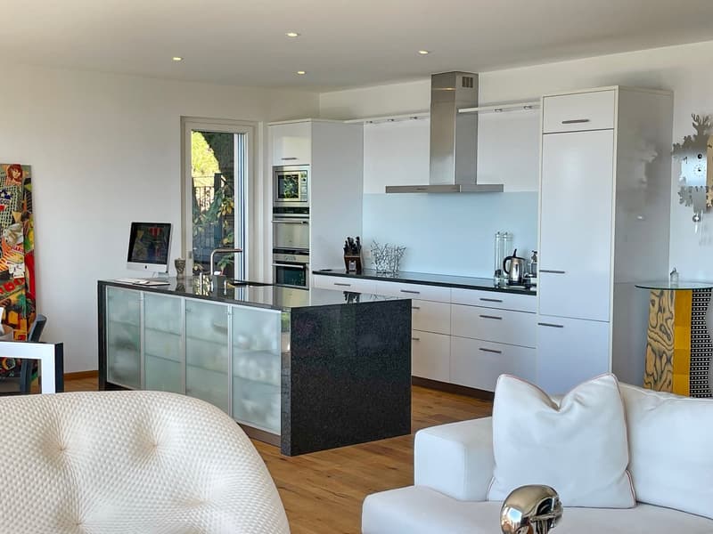 La Croix-sur-Lutry Magnifique appartement en terrasse avec piscine privée (5)