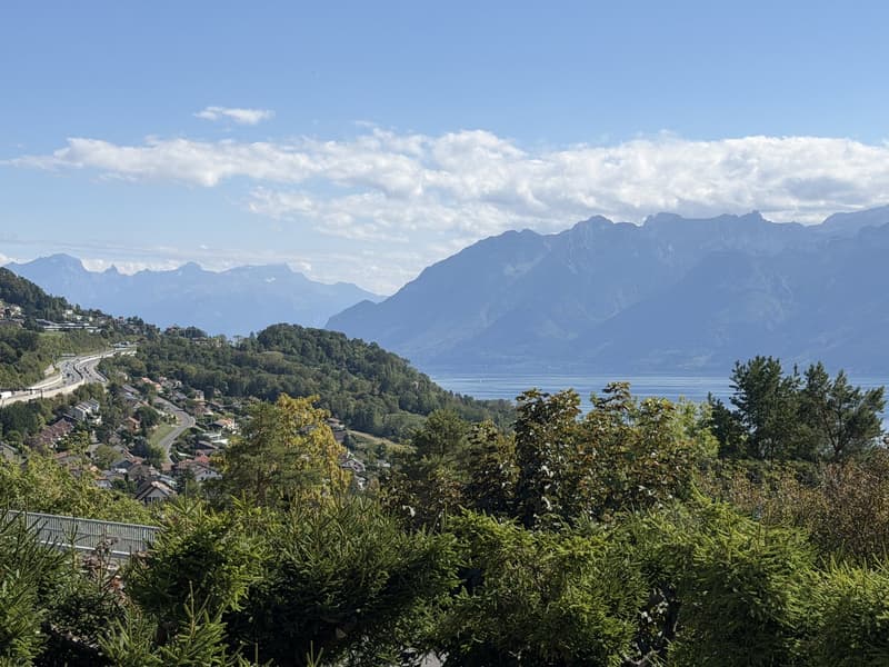 Appartement de 3.5 pièces avec vue panoramique à La Croix (Lutry) , terrasse, jardin (6)