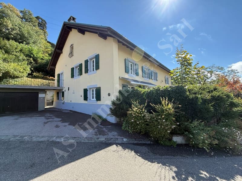 Spacieux appartement de 3,5 pièces avec terrasse et galetas (1)