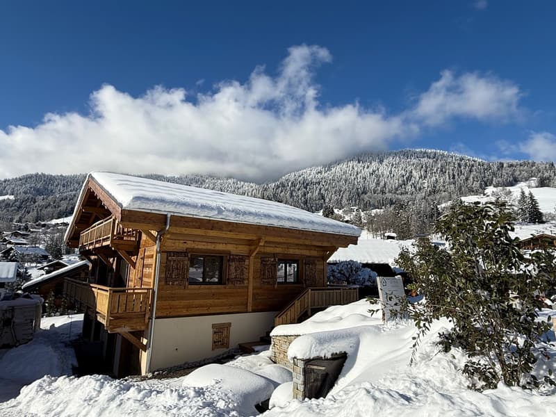 Appartement dans chalet, (1)