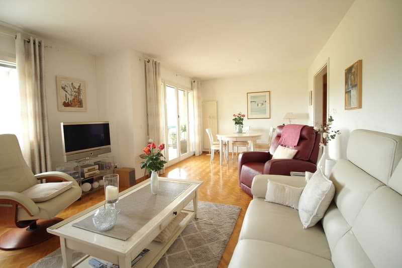 VENTE EN VIAGER, OCCUPE, SANS RENTE (1)