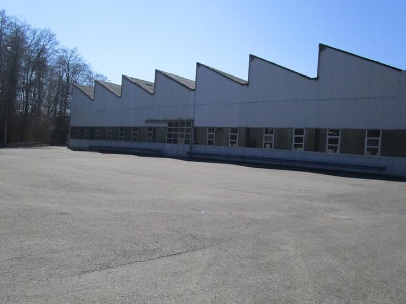 Halle industrielle avec bureaux administratifs et terrain constructible (2)