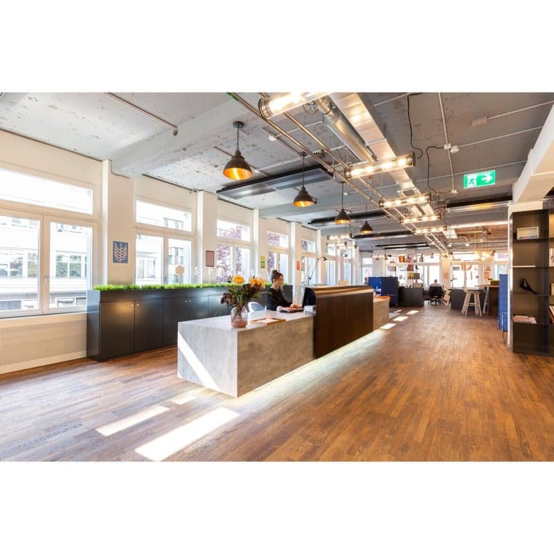 modern office, wooden floor, large windows, reception desk, office chairs, plants, lamps
