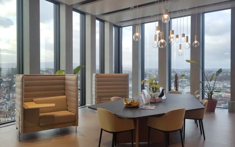 large windows, table with chairs, plants, modern design, view of the city