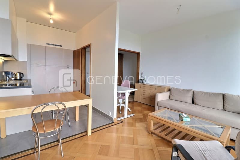 Lumineux appartement avec vue dégagée (6)