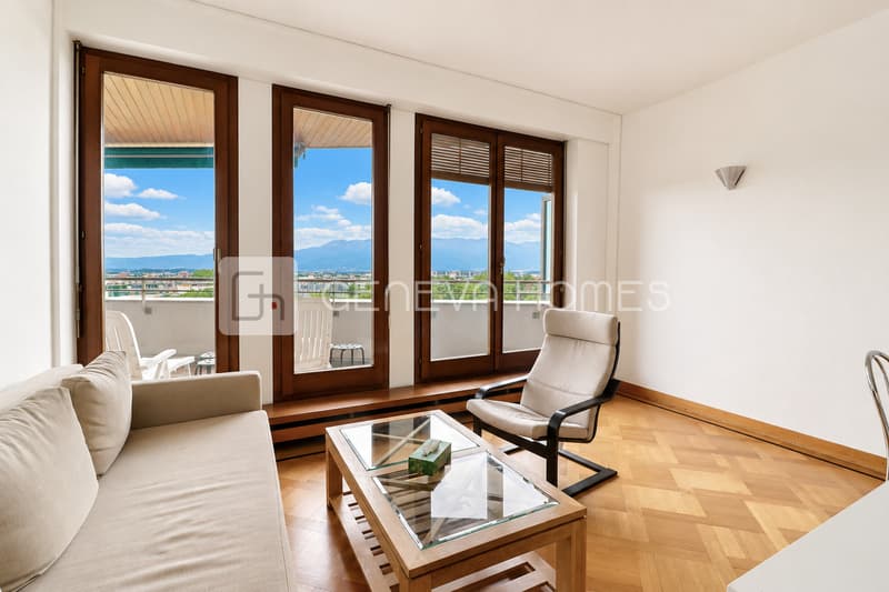 Lumineux appartement avec vue dégagée (3)