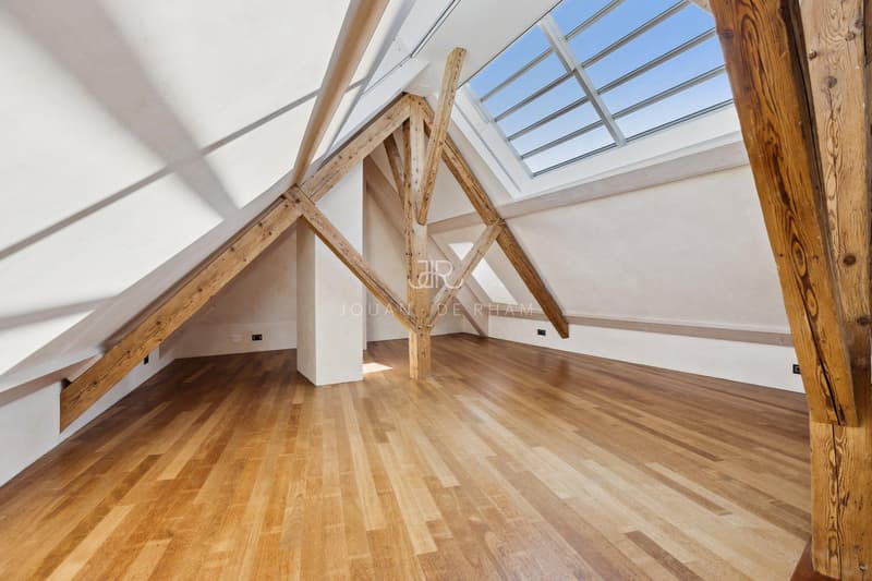 Duplex en attique - 3.5p spacieux avec cachet (6)