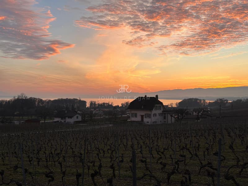 Maison avec charme dans les vignes (8)